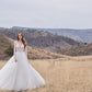 3364L - Allure Romance